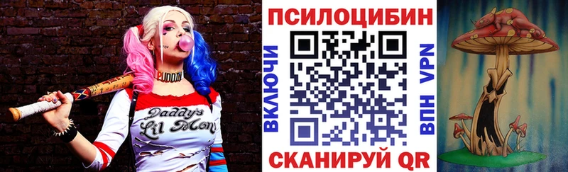 где найти наркотики  Ядрин  Псилоцибиновые грибы GOLDEN TEACHER 